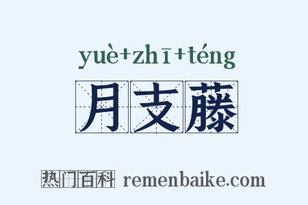 月支藤是什么意思的图片